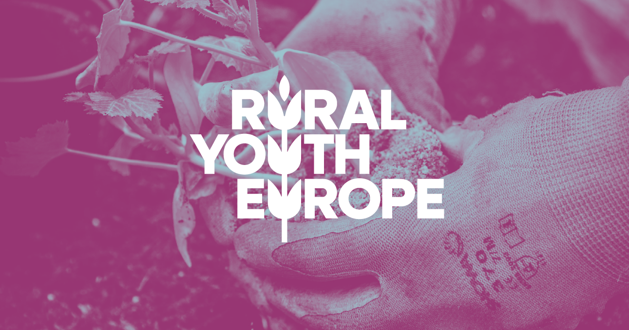 Rural Youth Europe - case study